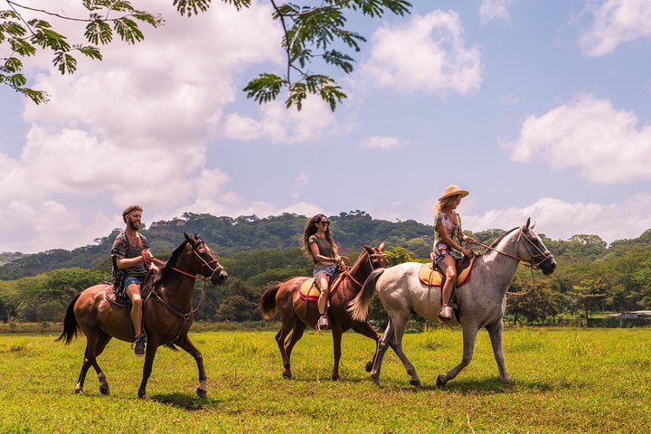 Horseback Riding Tour to Secluded Beaches - Native's Way Costa Rica Tours